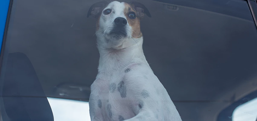 Car Lockout Solutions in Woodlake, California